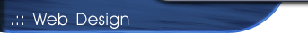 Web Design
