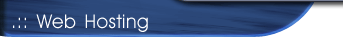 Web Hosting